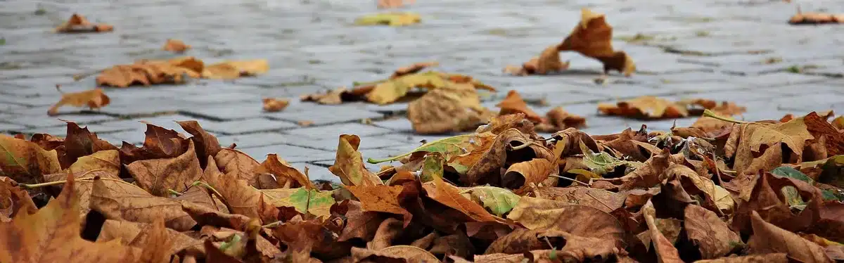 Cordless leaf blower clearing leaves in a suburban yard