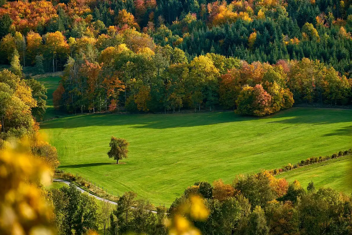 Map of regional fall foliage stages overlaid on countryside landscape