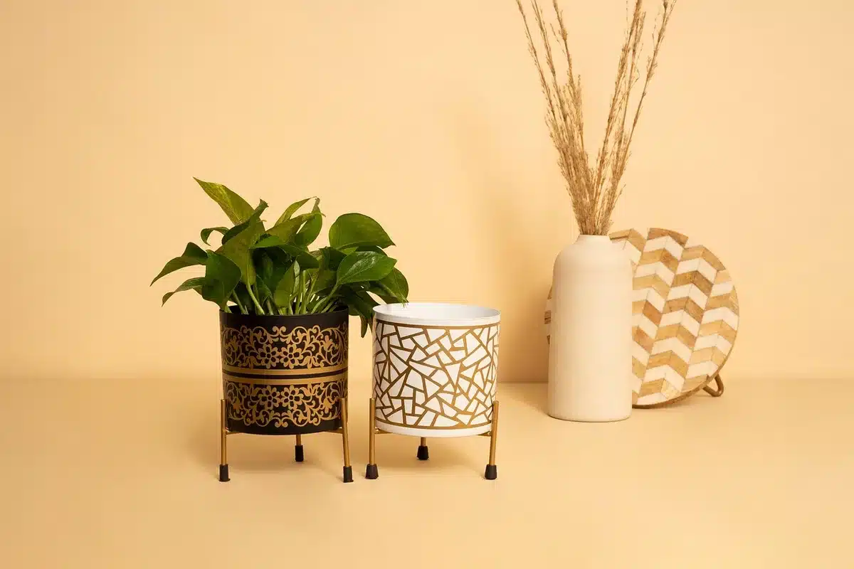 Painted upcycled carton planters on a sunny windowsill with tray and seedlings