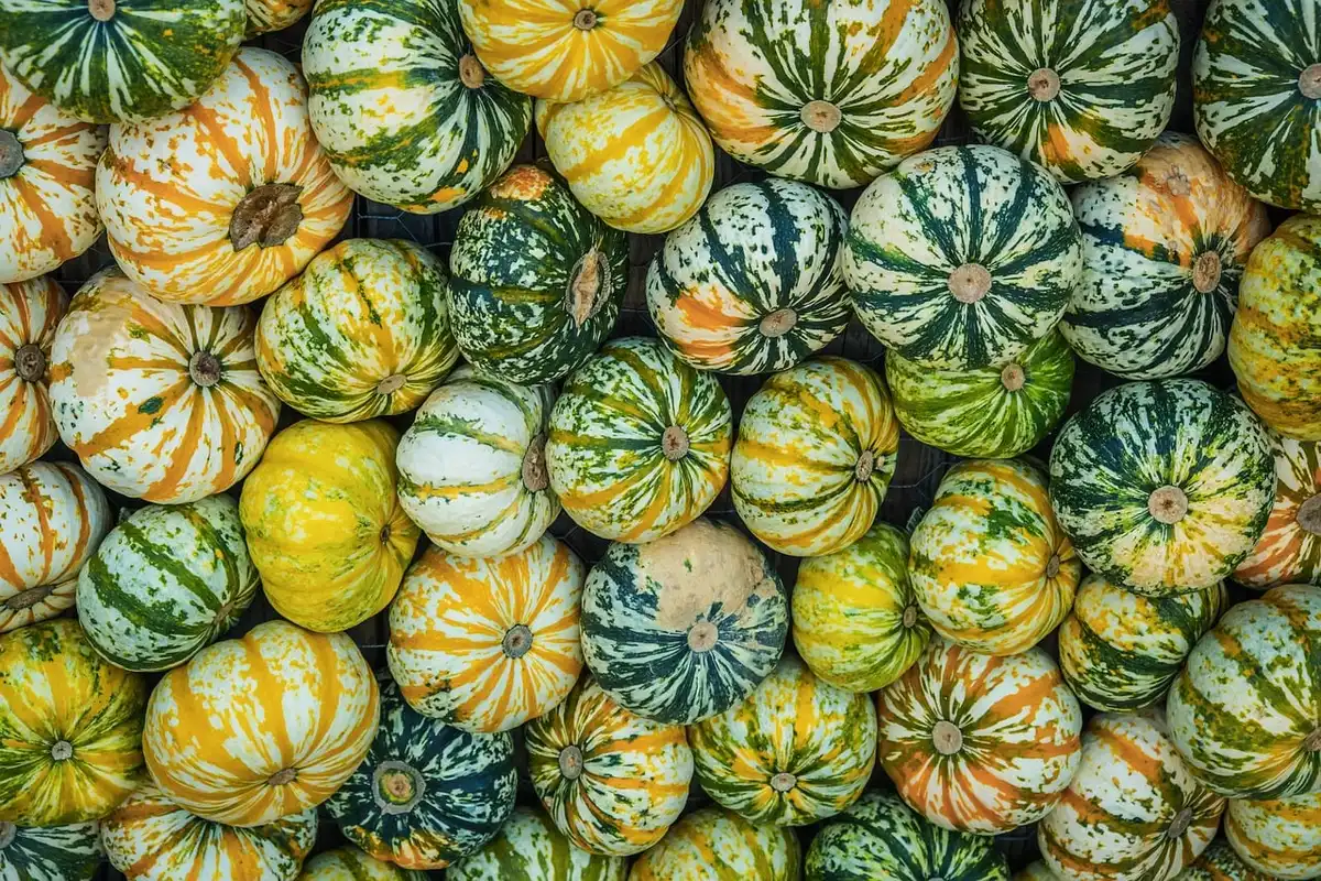 Assortment of retro orange plastic pumpkin buckets hanging on a fence