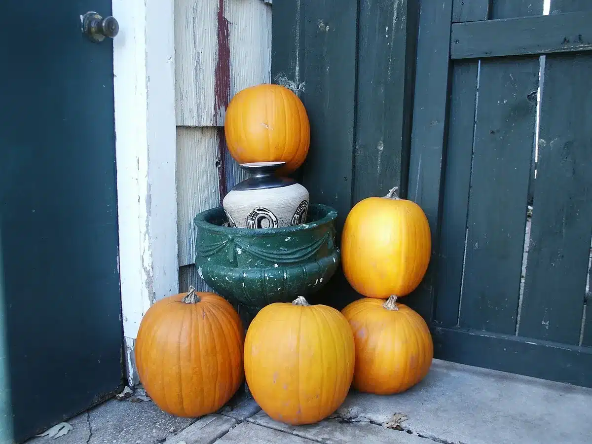 Blue pumpkin on a porch step signaling an autism-friendly home