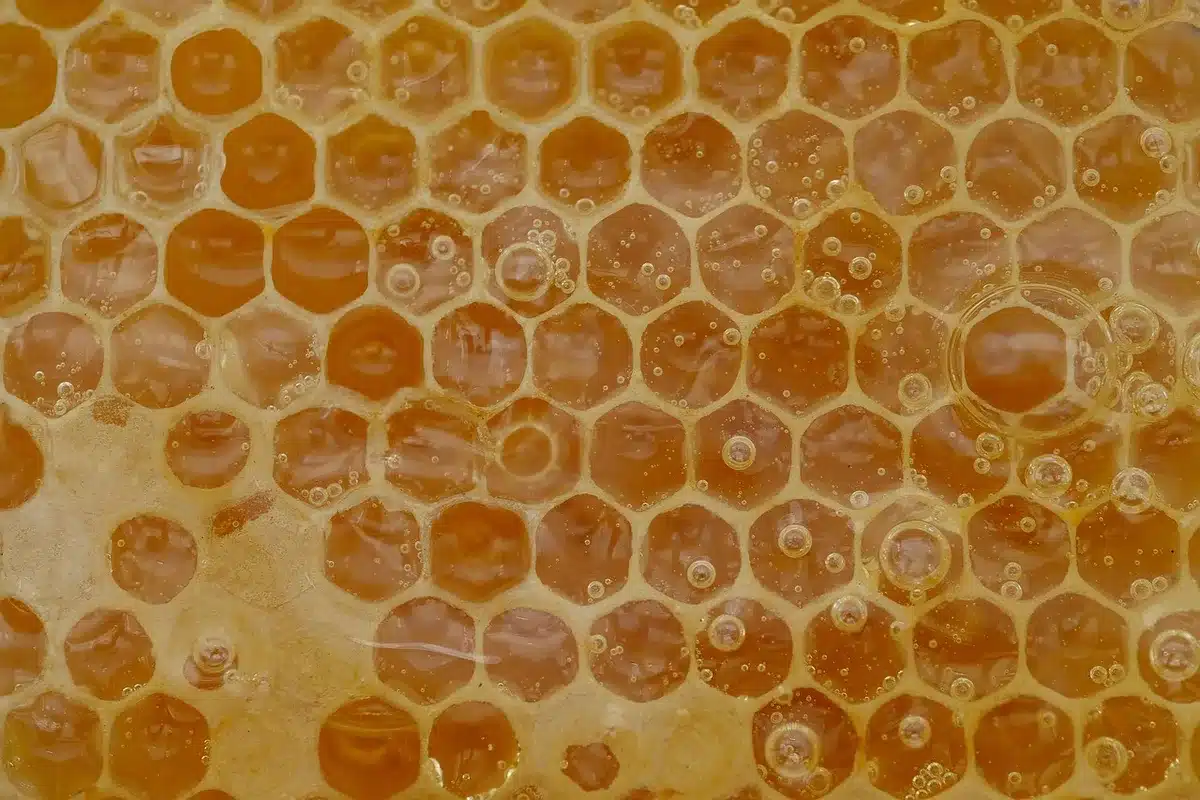 Close-up of geocell honeycomb grid filled with crushed stone