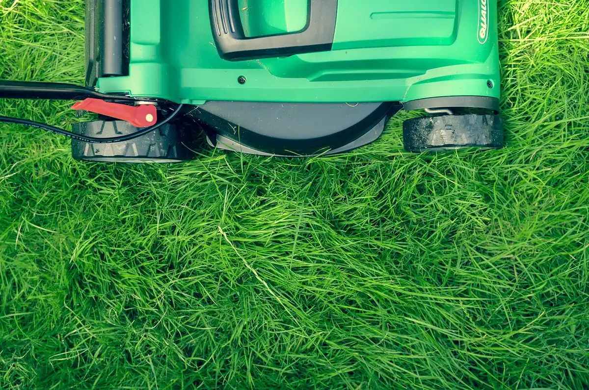 Close-up of dipstick being checked on a lawn mower engine