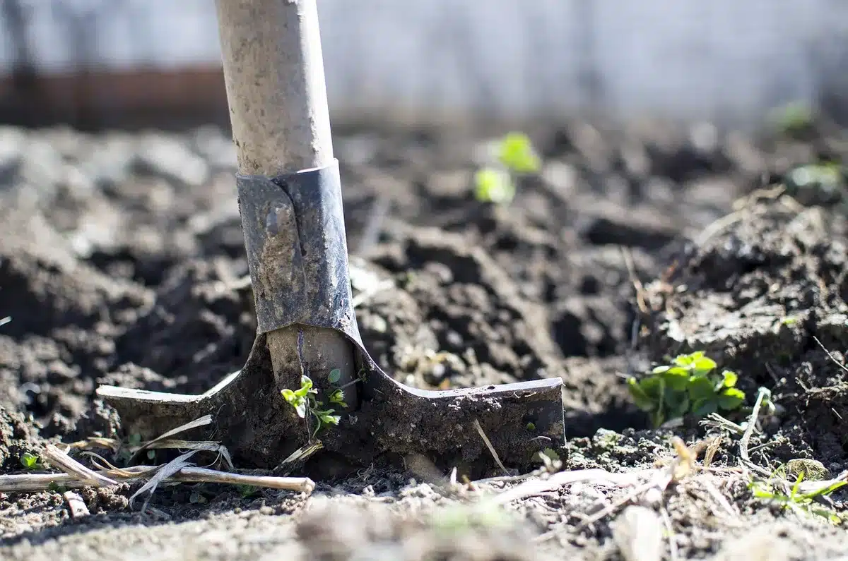 Ergonomic padded handles of a garden grabber tool laid on grass