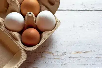 Rolling cart shelf lined with egg cartons holding craft supplies in daylight