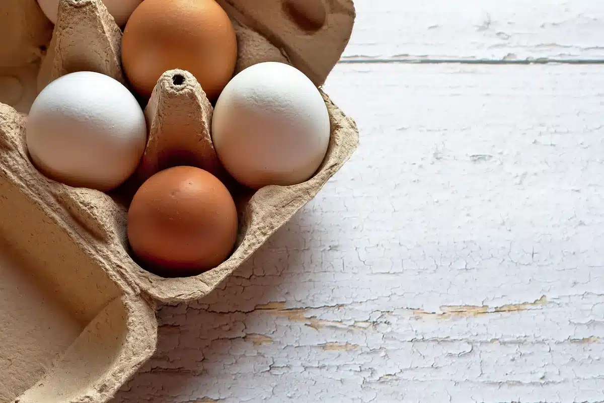 Rolling cart shelf lined with egg cartons holding craft supplies in daylight