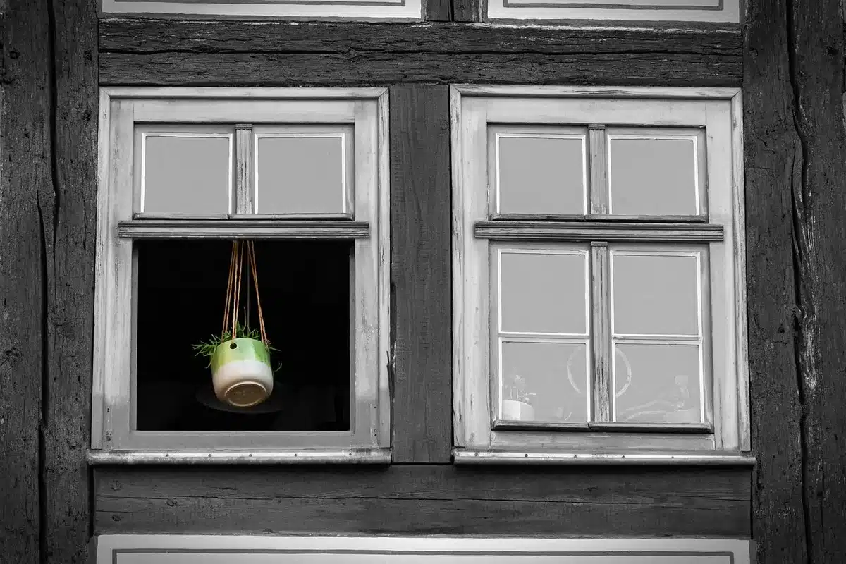 Multiple hanging can planters at varied heights in front of a sunny window