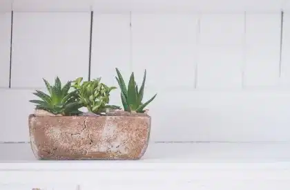 Painted tin hanging planters with succulents beside a sunny window