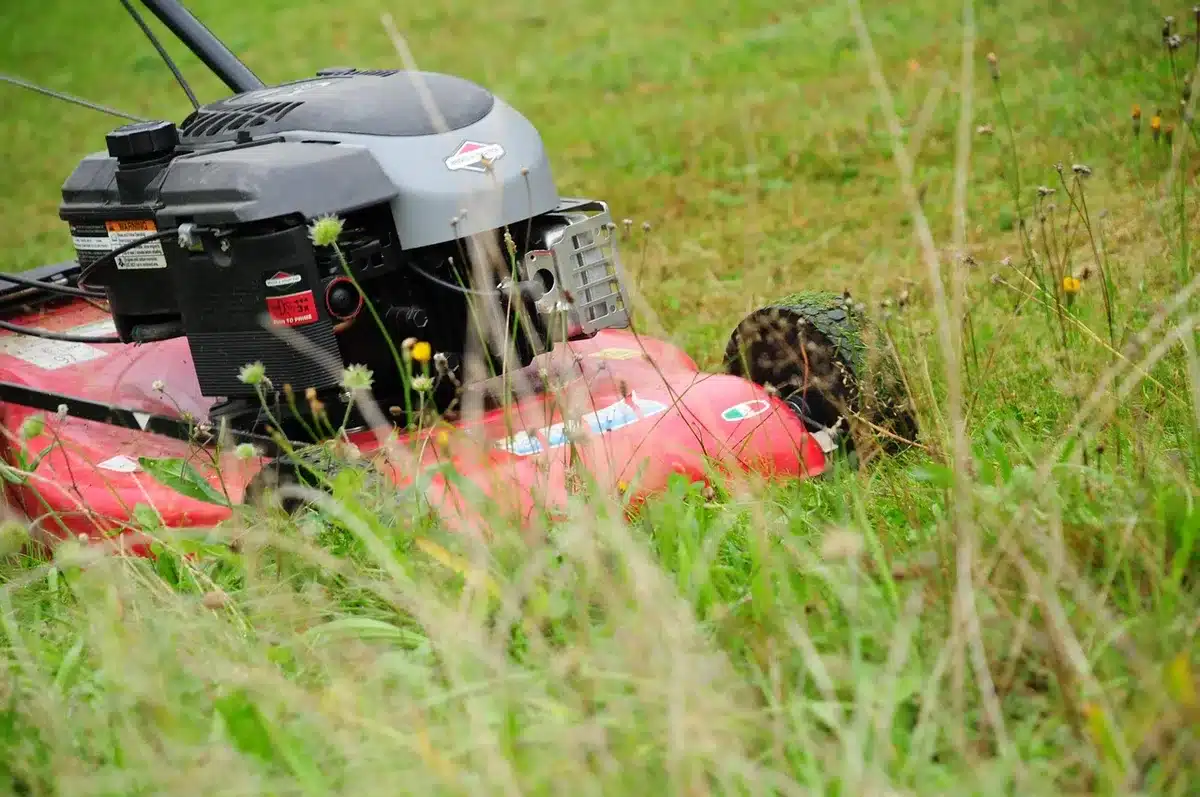 Compact zero-turn mower parked on a sunlit suburban lawn next to a fence
